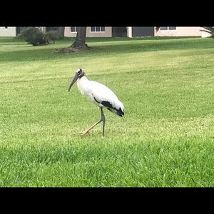 Meet your Posher, Scott